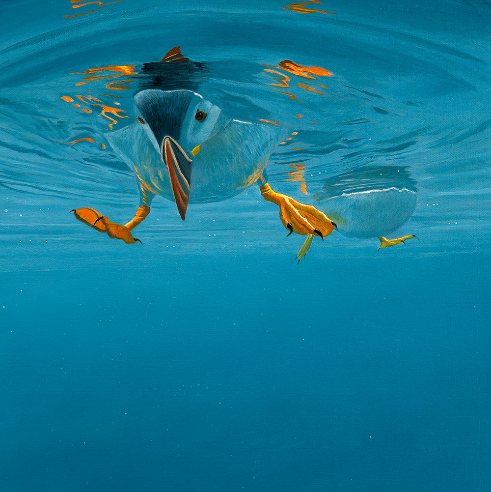 Funky Feet painting of a puffin underwater by artist david miller