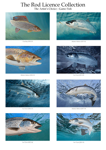 Fish art print of the EA game fish Rod licences - the artists favourite eight images. From the original paintings by David Miller