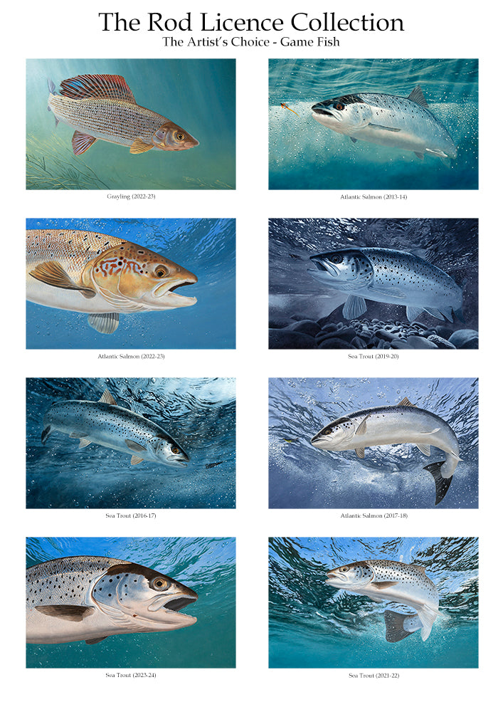 Fish art print of the EA game fish Rod licences - the artists favourite eight images. From the original paintings by David Miller