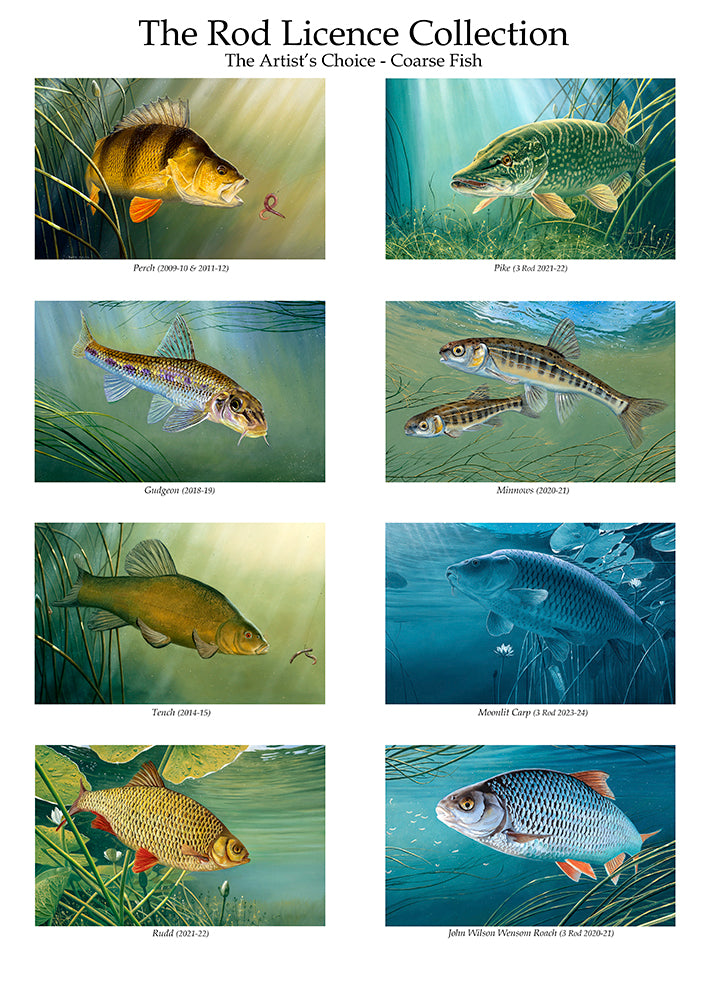 Fish art print of the EA Rod licence - the artists favourite eight images. From the original paintings by David Miller