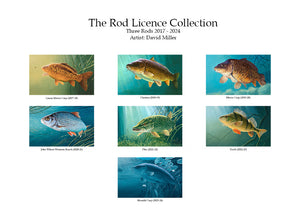 The Rod Licence Collection - Three rods, from the original paintings by artists David Miller