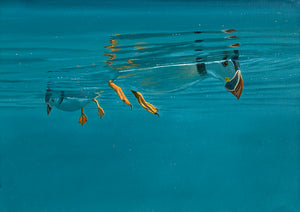 skomer puffins underwater oil painting by wildlife artist david miller