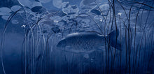 Load image into Gallery viewer, Moonlight Sonata carp in underwater lilies. Black and white fish art print by wildlife artist David Miller. Cyprinus carpio.