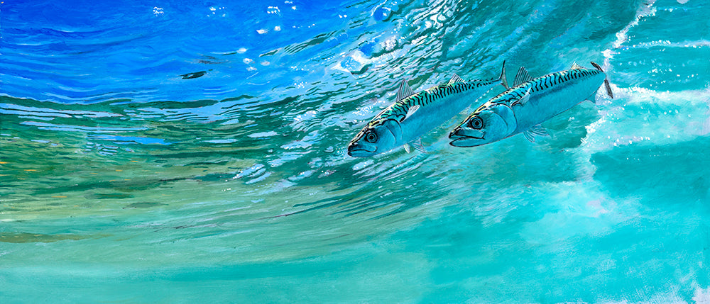 Two mackerel surfing under a wave. Fish art print from an original oil painting by artist David Miller