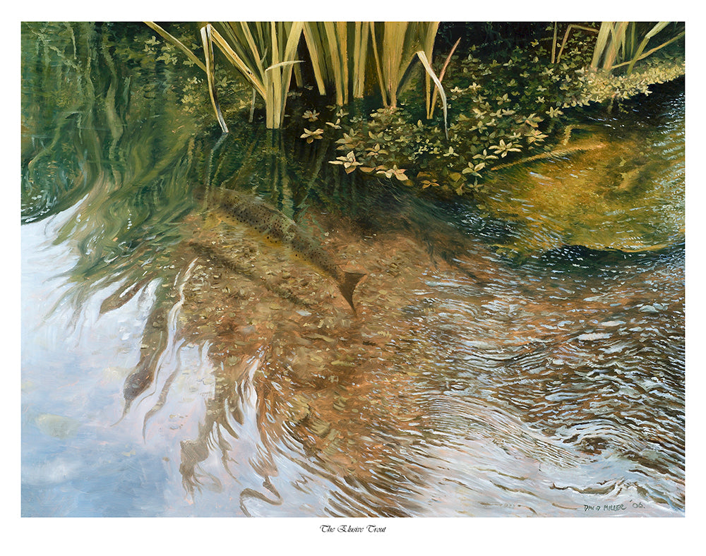 The Elusive Trout – David Miller Fish & Wildlife Art